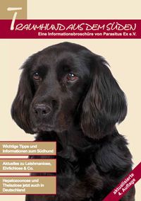 Traumhund2017